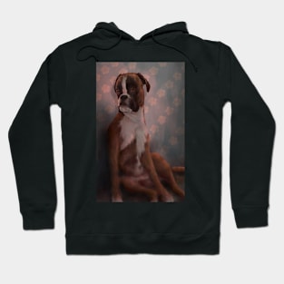 A fancy Boxer Hoodie